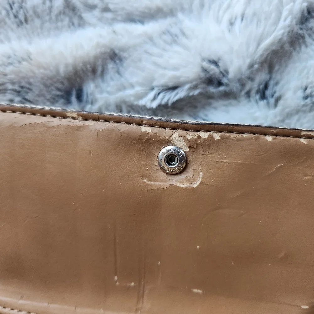 Coach Park Signature Dylan Crossbody Wallet in Brown - Picture 8 of 9